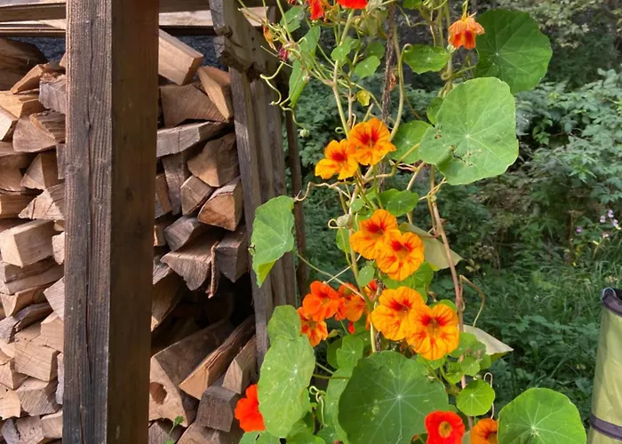 Kircher Huette * Diex