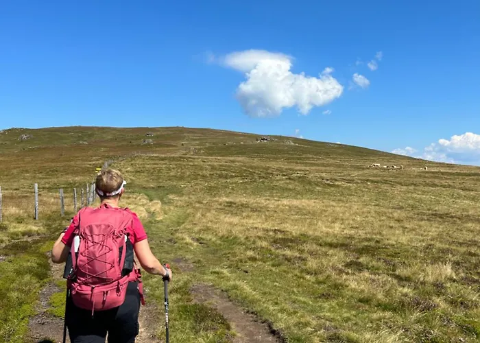 Domek alpejski Kircher Huette