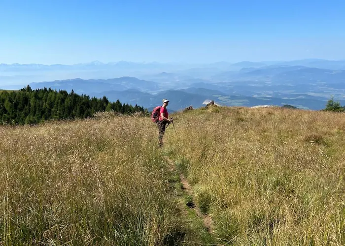 Kircher Huette Domek alpejski Diex